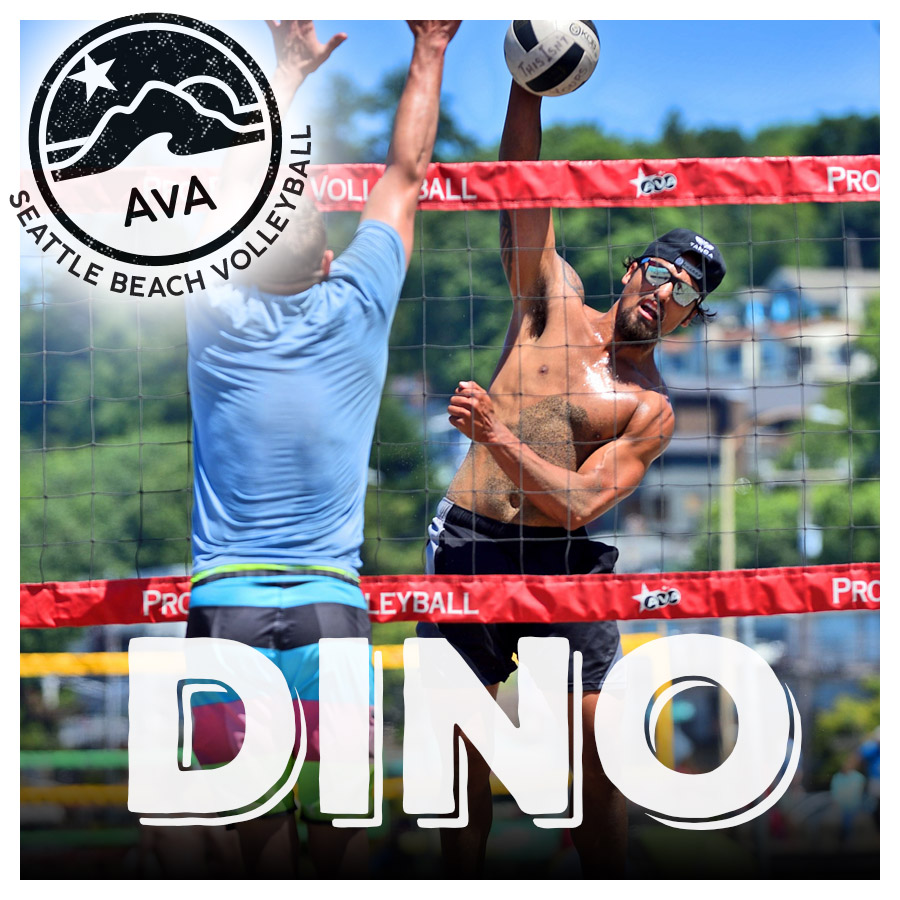 AVA | Largest Promoters of Beach Volleyball Events in Seattle. Alki Beach.  | AVA DINO! – Men\'s / Women\'s combined team age division event (July 1st  Saturday)